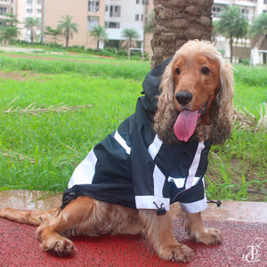 Black Panther Dog Raincoat