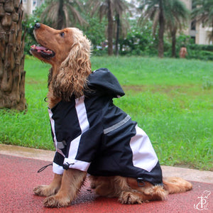 Black Panther Dog Raincoat