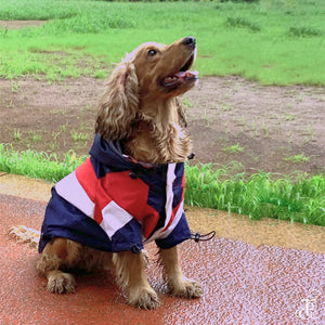 Captain America Dog Raincoat