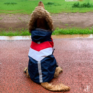 Captain America Dog Raincoat