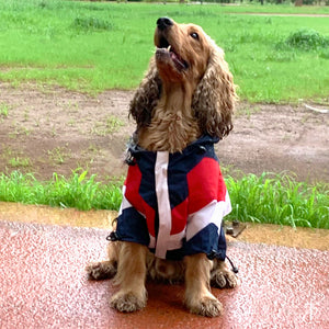 Captain America Dog Raincoat