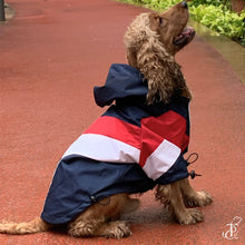 Load image into Gallery viewer, Captain America Dog Raincoat