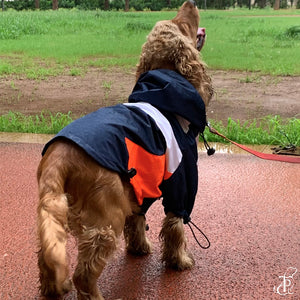 Captain Marvel Dog Raincoat