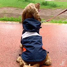 Load image into Gallery viewer, Captain Marvel Dog Raincoat