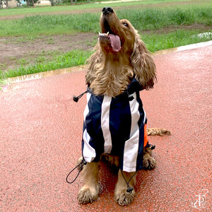 Captain Marvel Dog Raincoat