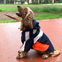 Load image into Gallery viewer, Captain Marvel Dog Raincoat