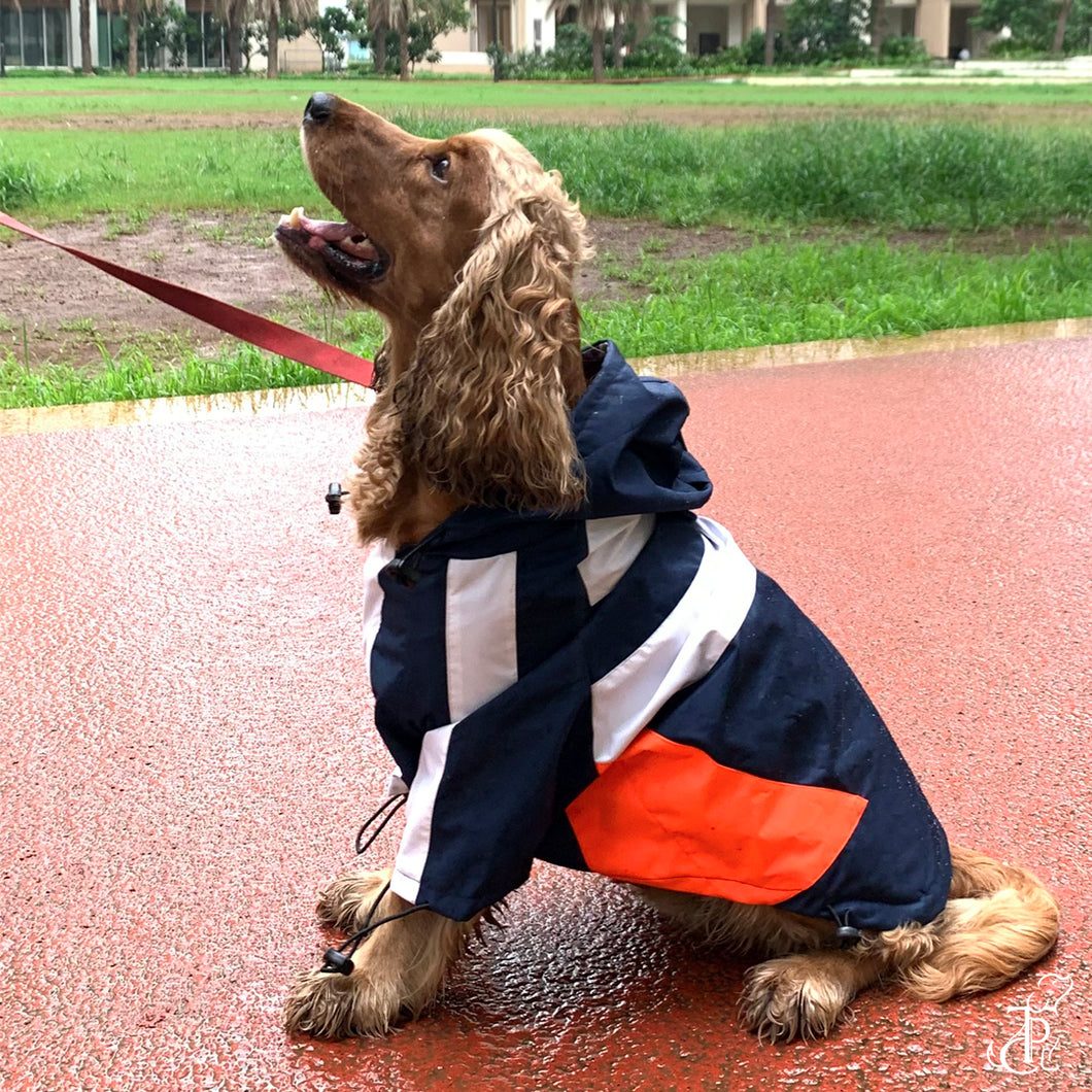 Captain Marvel Dog Raincoat