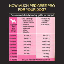 Load image into Gallery viewer, Pedigree Pro puppy large breed dog dry food