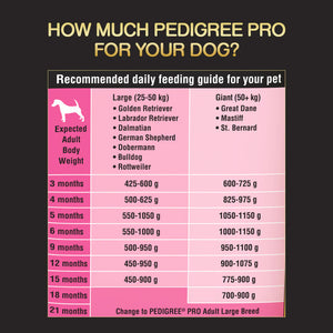 Pedigree Pro puppy large breed dog dry food