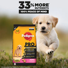 Load image into Gallery viewer, Pedigree Pro puppy large breed dog dry food