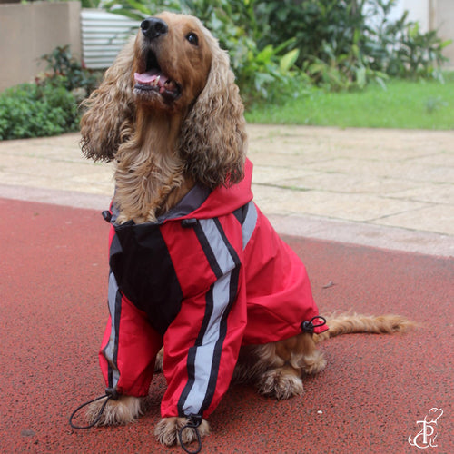 Deadpool Dog Raincoat