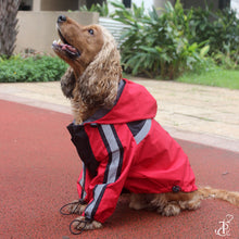 Load image into Gallery viewer, Deadpool Dog Raincoat