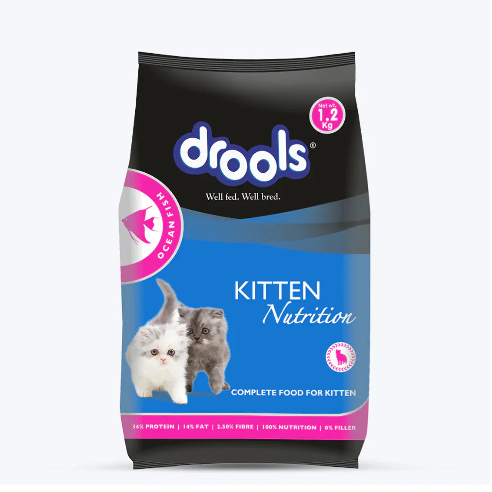 Drools Ocean Fish kitten Dry Cat Food