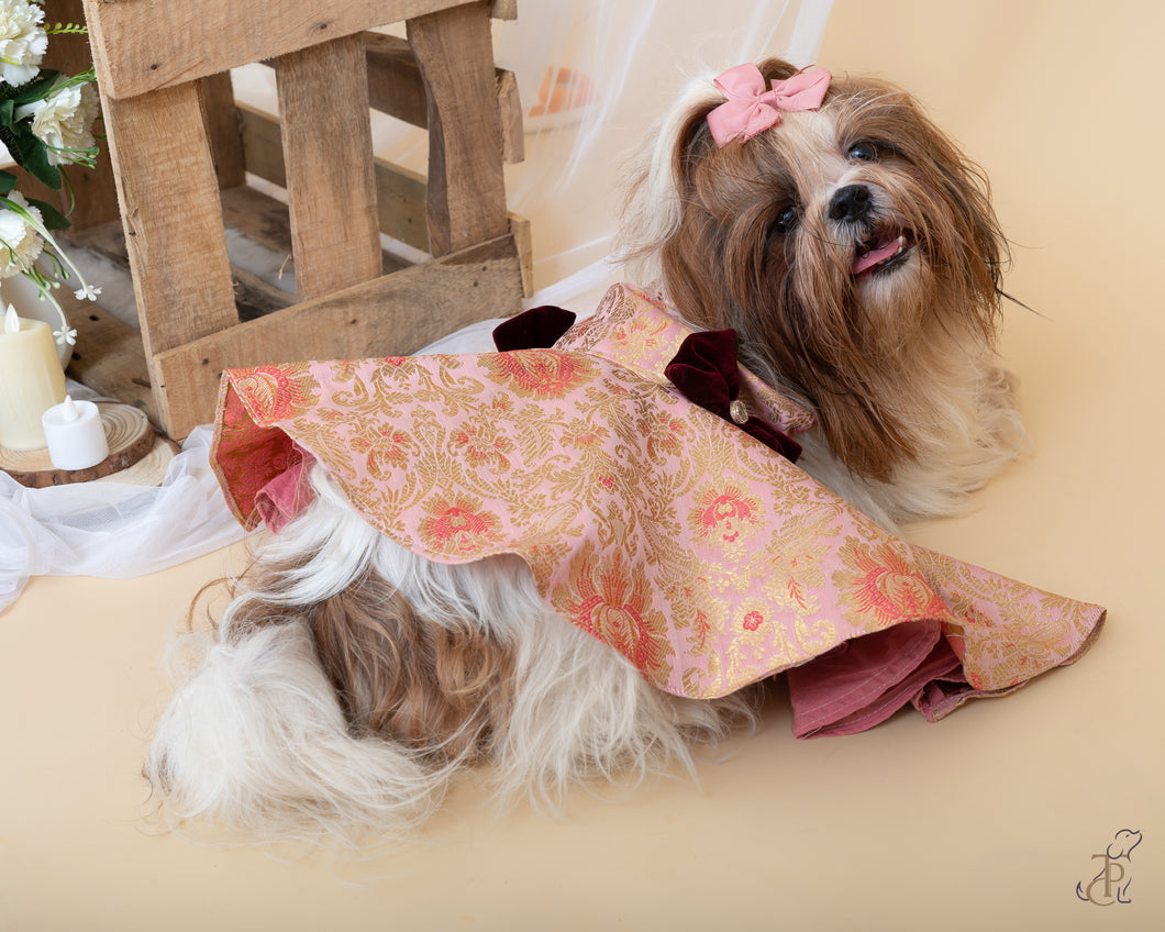 Pink & Golden Brocade Frock With A Bow