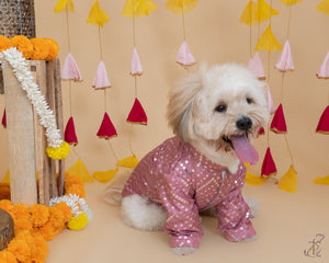 Sparkle In Pink Sequin Sherwani