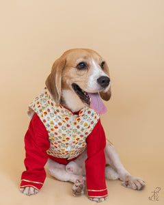 Red Kurta With Embellished Gota Pati York