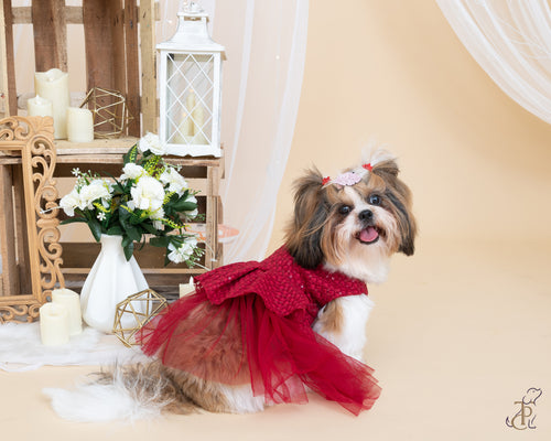 Embellished Red Dress