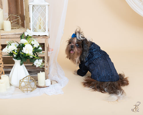 Blue Shawl Collar Sequin Tuxedo With A Bow