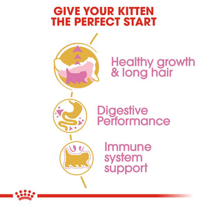 Royal canin persian kitten Dry Cat Food