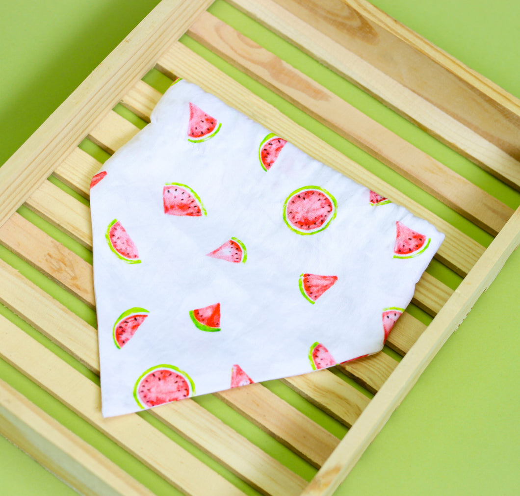 Marshy watermelon Bandana