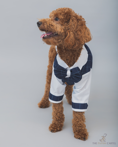 Navy Blue And White Checkered Dog Tuxedo