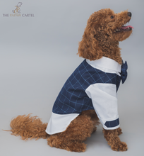 Load image into Gallery viewer, Navy Blue And White Checkered Dog Tuxedo