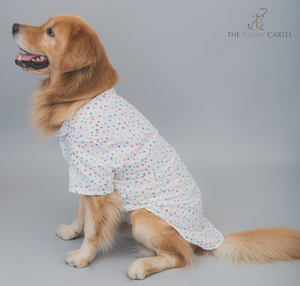 Multi Color Paw Print Dog Shirt