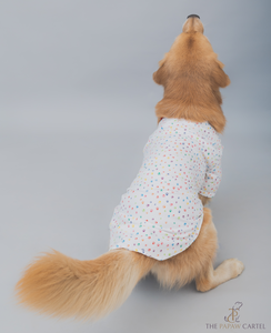 Multi Color Paw Print Dog Shirt