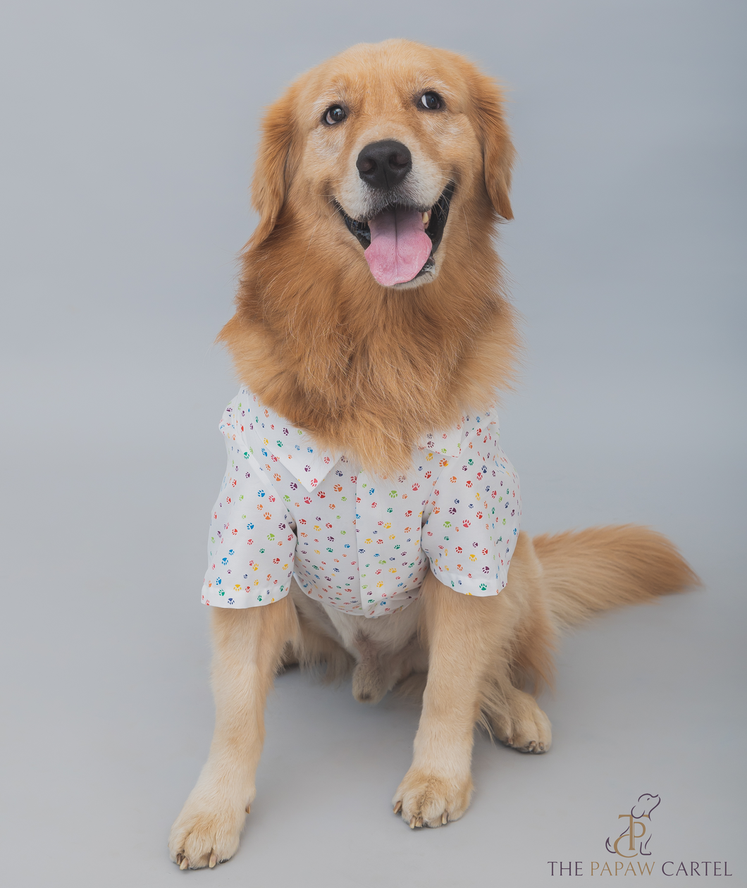 Multi Color Paw Print Dog Shirt