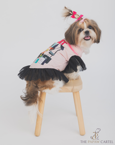 Spolied Brat Frilled Dog Tshirt Dress