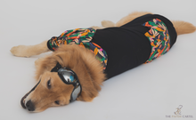 Load image into Gallery viewer, Black Tropical Bomber Dog Shacket