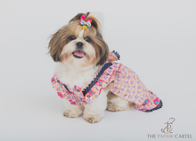 Load image into Gallery viewer, Caravan Plaid Frilled Dog Dress With A Bow