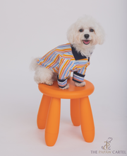 Load image into Gallery viewer, Stripe Dog Shirt