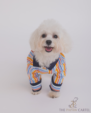 Load image into Gallery viewer, Stripe Dog Shirt