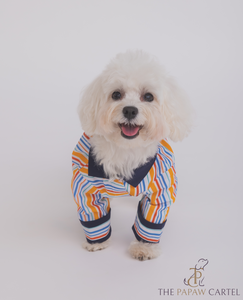 Stripe Dog Shirt