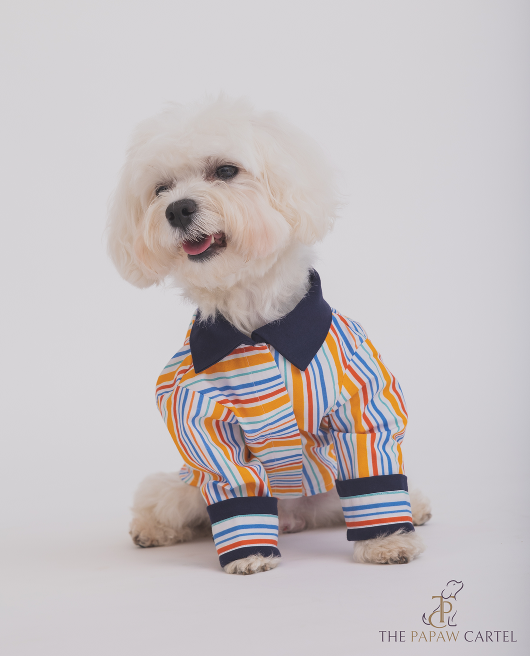 Stripe Dog Shirt