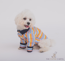 Load image into Gallery viewer, Stripe Dog Shirt