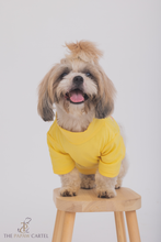 Load image into Gallery viewer, I AM My Own Muse Turtle Neck Dog Tshirt