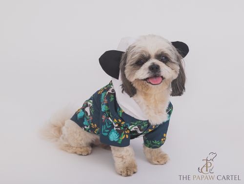 Panda Hoodie With Ears Dog Shirt