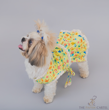 Load image into Gallery viewer, Vacation Dog Dress