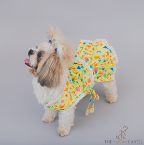 Vacation Dog Dress