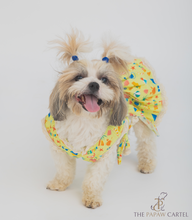 Load image into Gallery viewer, Vacation Dog Dress