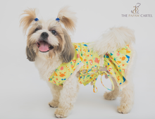 Load image into Gallery viewer, Vacation Dog Dress