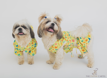 Load image into Gallery viewer, Vacation Dog Dress