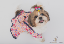 Load image into Gallery viewer, Caravan Plaid Frilled Dog Dress With A Bow