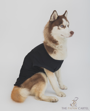 Load image into Gallery viewer, Black Tank Dog Tshirt