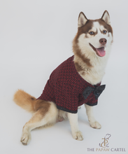 Load image into Gallery viewer, Casino Dog Shirt With Shimmering Bow