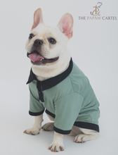 Load image into Gallery viewer, Sage Green Polo Dog Tshirt