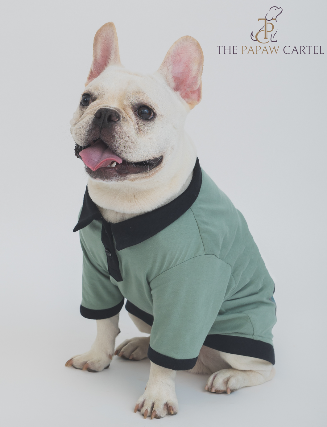 Sage Green Polo Dog Tshirt