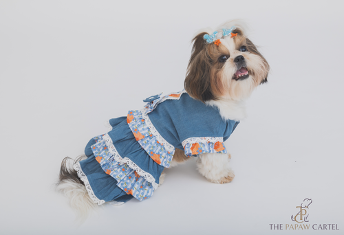 Denim Floral Dog Skirt dress